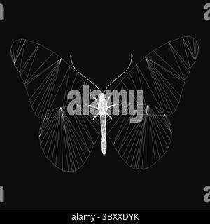A detailed black and white moth drawing with intricately patterned wings spread wide, set against a dark background. The delicate antennae and body cr Stock Vector
