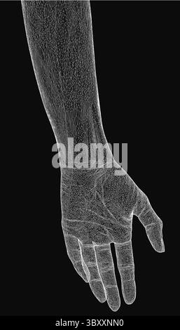 Low poly skeleton of human hand isolated on white background. 3D ...