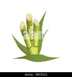 Sugarcane illustration vector-based drawing on white background Vol 01 Stock Vector