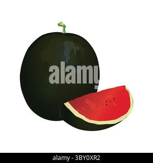 Watermelon Stock Illustrations, vector-based hand drawing on white background Vol 02 Stock Vector