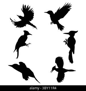 Woodpecker black silhouette illustration Stock Vector