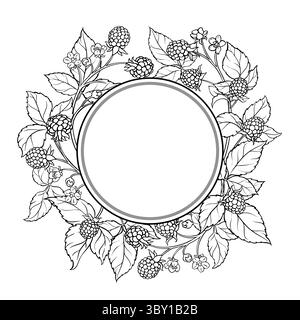 Blackberry Branch Outline Round Frame. Stock Vector