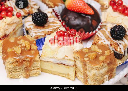 Delicious small cakes with cream. Colorful pastry selection on plate. Topped with berries, nuts and chocolate. Homemade dessert variety. Stock Photo