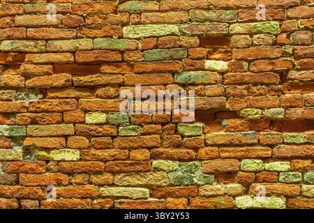 Close-up of an old terracotta brick wall creating a vintage texture. Ripatransone, Ascoli Piceno, Marche region, Italy, Europe Stock Photo