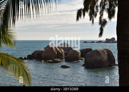 View of rocks in the ocean behind pal trees in Sanya, China Stock Photo