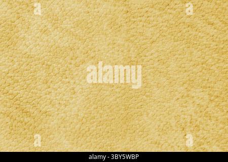 Detailed close up, macro of yellow synthetic suede leather texture, faux leather, leatherette. Background for design, fashion, upholstery material vis Stock Photo