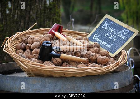 A straw basket filled with a heap of walnuts with nutcrackers for sale. Stock Photo