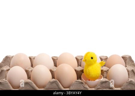 Eggs and yellow chicken isolated on white background. Easter concept Stock Photo