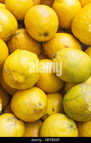 Lemons on the market. Juicy lemons background. Yellow fruits. Heap of ripe lemons. Yellow color background. Citrus harvest. Healthy eating. Stock Photo