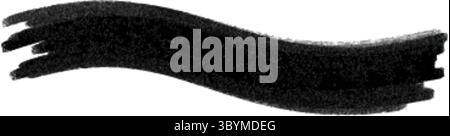 A single, thick black brush stroke with a wavy, irregular shape and textured edges, isolated on a clean white background. Stock Vector