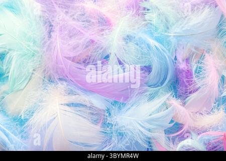 Closeup view of colorful feathers. Angelic pastel background Stock Photo