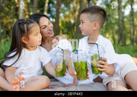 Happy family picnic in summer mother and children with lemonade smiling and enjoying nature together outdoors Stock Photo