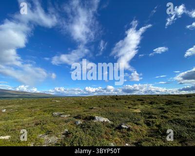 Beautiful landscape with a vast expanse of vibrant green and blue sky. Stock Photo