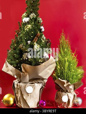 BIg and small christmas tree on red background Stock Photo