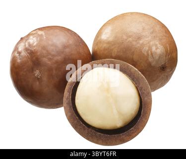 Macadamia nuts (M. integrifolia seeds), whole and shelled Stock Photo