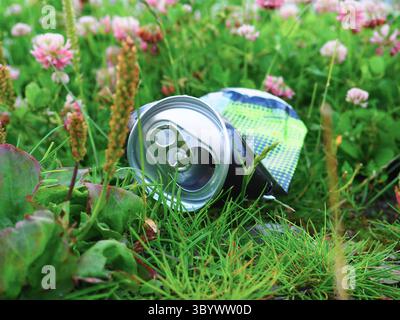Discarded Aluminum Beverage Can Resting in Green Grass Amidst Small Pink Flowers Stock Photo