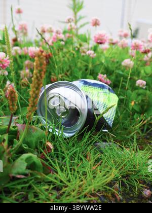 Discarded Aluminum Beverage Can Resting in Green Grass Amidst Small Pink Flowers Stock Photo