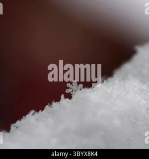 A beautiful real snowflake. Snow in nature. Macro photo in winter. Concept for Christmas and holidays Stock Photo