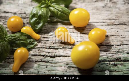 Yellow cherry tomatoes and basil Stock Photo