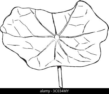 A beautifully crafted illustration of a leaf that highlights and showcases its intricate and delicate details. Hand drawn vector illustration in black and white graphics. Stock Vector