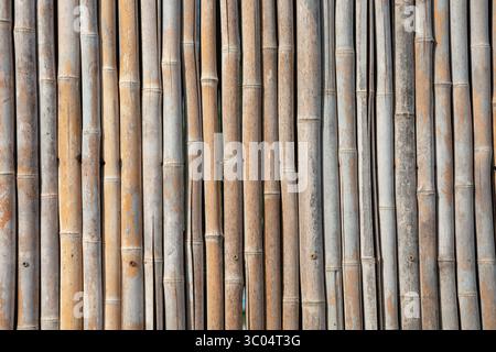 Natural bamboo fence background showing vertical pole pattern texture. Eco-friendly sustainable wood material perfect backdrop with organic brown tone Stock Photo