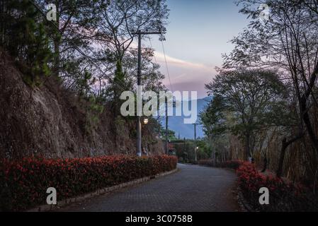 Twilight Road With Flowers and Mountains in Brazil Stock Photo