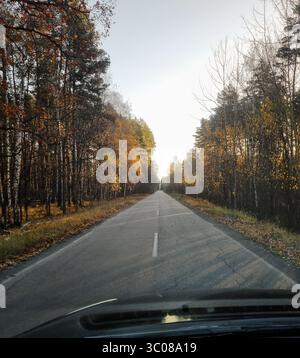 Empty road in autumn forest in the morning. Vanishing point view of straight through the woods: sunrise on late autumn day. Stock Photo