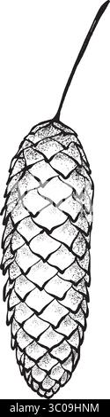 Long brown pine cone with a thin stem. vector graphic drawing in realistic style. Hand-painted botanical element on white background. Great for cards, Stock Vector