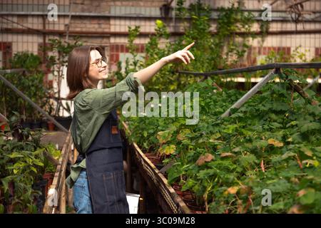 Greenhouse worker gestures toward plants while explaining something Stock Photo