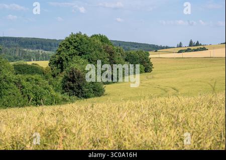 Lush green landscape with rolling hills and vibrant fields Stock Photo