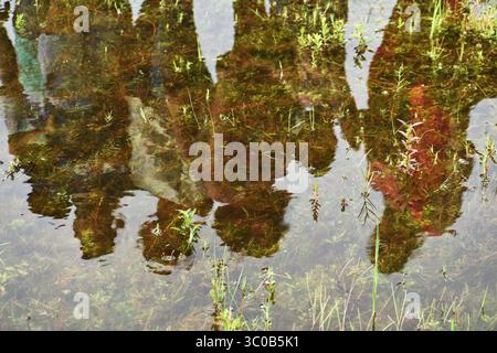 people reflection in pond Stock Photo