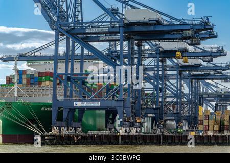 Port of Felixstowe in Suffolk. UK's largest container port, taking around half of Britain's container shipping trade. Shot from View Point Road. Stock Photo