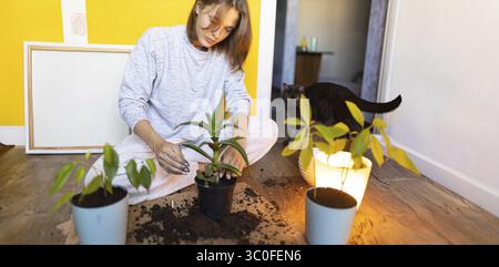 Woman nurturing indoor plants with a cat in a warm, homey setting Stock Photo