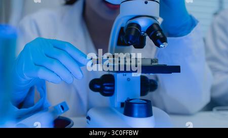 two scientists are working together to find a new antiviral drug, two chemists are using scientific tools to study science, microscope, working in the Stock Photo