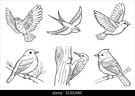 A collection of six hand-drawn birds in various poses. The birds include a sparrow, a finch, and a woodpecker, depicted in black and white sketches. Stock Vector