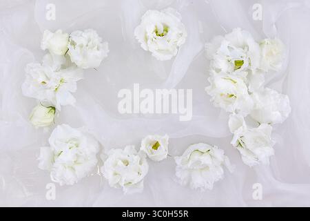 White flowers of eustoma, lisianthus, on a white fabric background Stock Photo