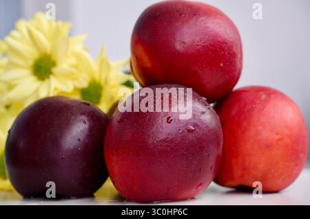 Ripe nectarines on a white plate with yellow chrysanthemums Stock Photo
