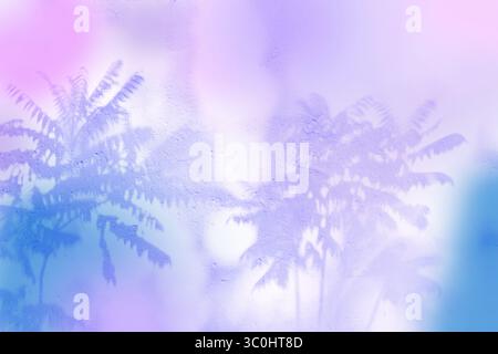 Neon shadows on the wall from palm trees. Shadow overlay of tropical palm leaves. Stock Photo
