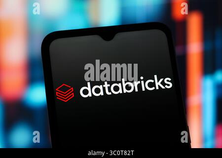In this photo illustration, the Databricks (Data Bricks) logo is seen displayed on a smartphone screen. (Photo by Thomas Fuller / SOPA Images/Sipa USA) *** Strictly for editorial news purposes only *** Stock Photo