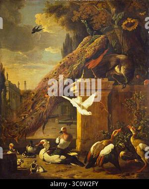 Melchior de Hondecoeter (1636-1695) - Peacocks and Ducks Stock Photo