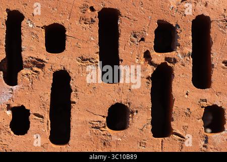Photograph showcasing the intricate surface detail and unique rectangular openings of a fired brick, commonly used in building and construction, illus Stock Photo