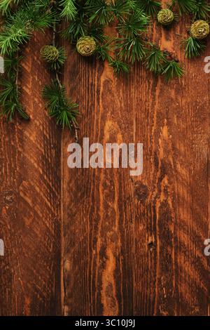On a brown wooden board lie larch branches with small green cones. Space for text. Stock Photo
