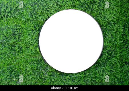Blank circle sign installed on the green grass wall at outdoor. Isolate, copy space. Stock Photo