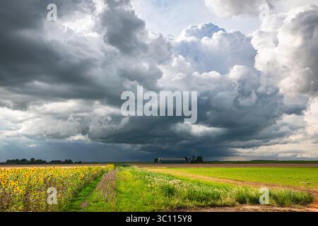 Building storm clouds over the flat countryside of the western Netherlands Stock Photo