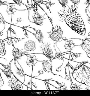 Strawberry berries leaves flowers growing on vines tendrils creepers, ripe garden pineberry strasberry. Hand drawn in vector ink. Isolated seamless Stock Vector