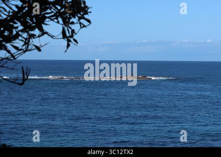 coogee beach in sydneys eastern suburbs australia Stock Photo