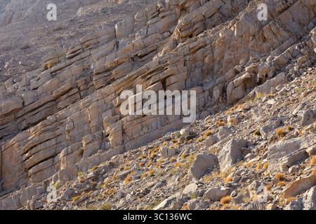 Rock formations and layers of rock and strata, close-up view of cracked, dry, rocky desert mountain slope in Hajar Mountains, Ras al Khaimah, UAE. Stock Photo