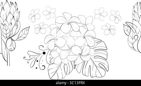 Vector simple tropical seamless pattern - proteas and bouquet of plumeria. Summer border with exotic flowers. Hand drawn graphic ornament. Black Stock Vector
