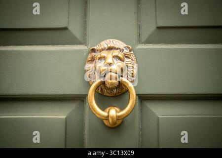 Lion door knocker on green house front door Stock Photo