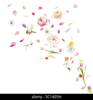 Flower petals and buds flying against white background Stock Photo